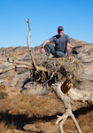 Me In A Cinareous Vulture Nest